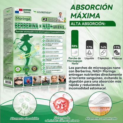 🇵🇦 Glorenda® Moringa + Berberina × NAD+ 10 en 1 | Parche Avanzado de Microagujas