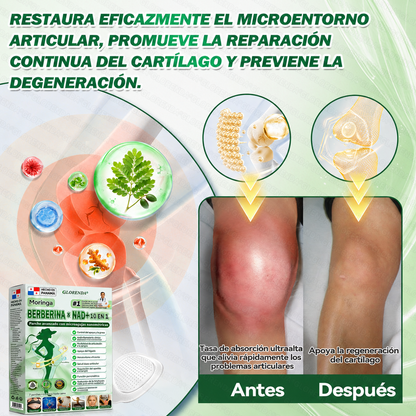 🇵🇦 Glorenda® Moringa + Berberina × NAD+ 10 en 1 | Parche Avanzado de Microagujas