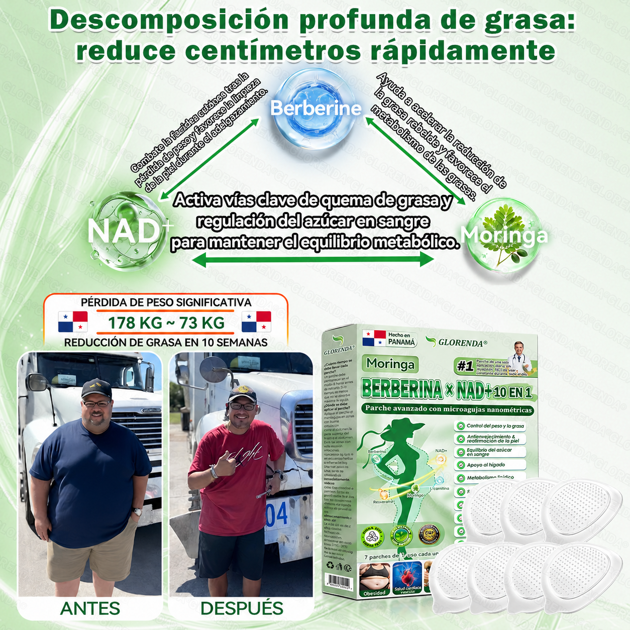 🇵🇦 Glorenda® Moringa + Berberina × NAD+ 10 en 1 | Parche Avanzado de Microagujas