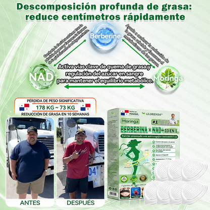 🇵🇦 Glorenda® Moringa + Berberina × NAD+ 10 en 1 | Parche Avanzado de Microagujas