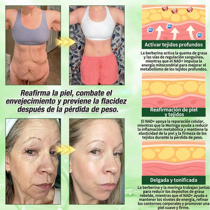 🇵🇦 Glorenda® Moringa + Berberina × NAD+ 10 en 1 | Parche Avanzado de Microagujas