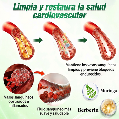 🇵🇦 Glorenda® Moringa + Berberina × NAD+ 10 en 1 | Parche Avanzado de Microagujas