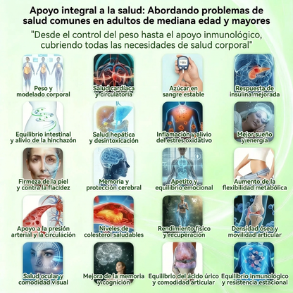 🇵🇦 Glorenda® Moringa + Berberina × NAD+ 10 en 1 | Parche Avanzado de Microagujas