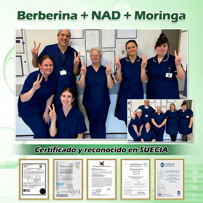 🇵🇦 Glorenda® Moringa + Berberina × NAD+ 10 en 1 | Parche Avanzado de Microagujas