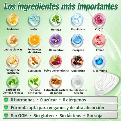 🇵🇦 Glorenda® Moringa + Berberina × NAD+ 10 en 1 | Parche Avanzado de Microagujas